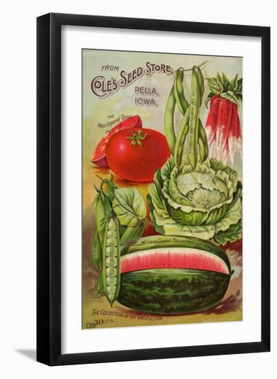 Six Varieties from Cole's Seed Store, Pella, Iowa-null-Framed Art Print