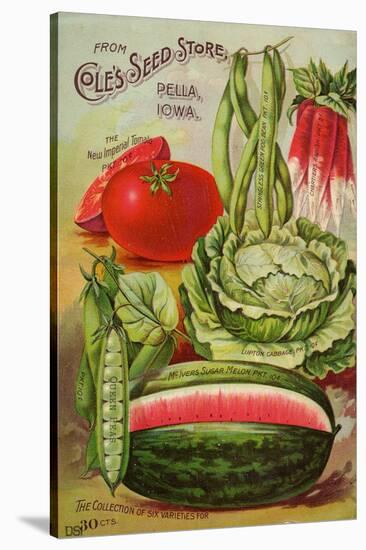 Six Varieties from Cole's Seed Store, Pella, Iowa-null-Stretched Canvas
