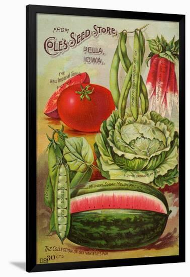 Six Varieties from Cole's Seed Store, Pella, Iowa-null-Framed Art Print