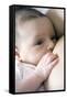 Six Week Old Baby Girl Breastfeeding-Cristina-Framed Stretched Canvas