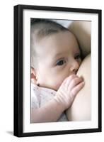 Six Week Old Baby Girl Breastfeeding-Cristina-Framed Photographic Print