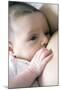 Six Week Old Baby Girl Breastfeeding-Cristina-Mounted Photographic Print