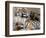 Six-Year-Old Bengal Tigress Rosi-null-Framed Photographic Print