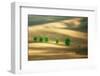 Six-Marcin Sobas-Framed Photographic Print