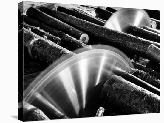 Sixteen-Foot Logs Being Cut in Slasher Mill in Preparation for Next Stage at Paper Mill-Margaret Bourke-White-Stretched Canvas