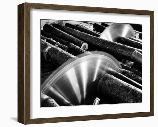 Sixteen-Foot Logs Being Cut in Slasher Mill in Preparation for Next Stage at Paper Mill-Margaret Bourke-White-Framed Photographic Print