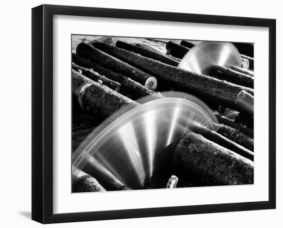 Sixteen-Foot Logs Being Cut in Slasher Mill in Preparation for Next Stage at Paper Mill-Margaret Bourke-White-Framed Photographic Print