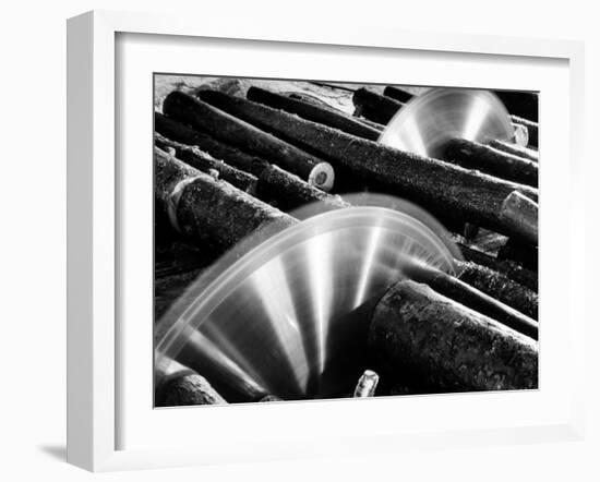 Sixteen-Foot Logs Being Cut in Slasher Mill in Preparation for Next Stage at Paper Mill-Margaret Bourke-White-Framed Photographic Print