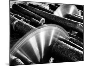 Sixteen-Foot Logs Being Cut in Slasher Mill in Preparation for Next Stage at Paper Mill-Margaret Bourke-White-Mounted Photographic Print