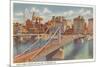 Sixth Street Bridge, Pittsburgh, Pennsylvania-null-Mounted Premium Giclee Print