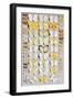 Sixty-Seven Lepidoptera, in Five Columns, Mostly Butterflies-Marian Ellis Rowan-Framed Giclee Print