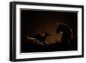Black Frame
