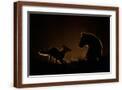 Brown Frame