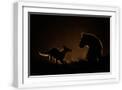 White Frame