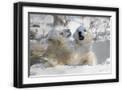 Black Frame