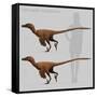 Size Comparison of Velociraptor Mongoliensis to a Human-null-Framed Stretched Canvas