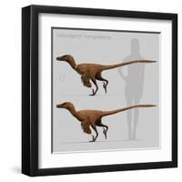 Size Comparison of Velociraptor Mongoliensis to a Human-null-Framed Art Print