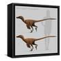 Size Comparison of Velociraptor Mongoliensis to a Human-null-Framed Stretched Canvas