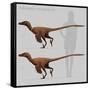 Size Comparison of Velociraptor Mongoliensis to a Human-null-Framed Stretched Canvas