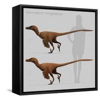 Size Comparison of Velociraptor Mongoliensis to a Human-null-Framed Stretched Canvas