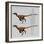 Size Comparison of Velociraptor Mongoliensis to a Human-null-Framed Art Print