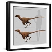 Size Comparison of Velociraptor Mongoliensis to a Human-null-Framed Art Print