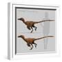 Size Comparison of Velociraptor Mongoliensis to a Human-null-Framed Art Print