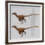 Size Comparison of Velociraptor Mongoliensis to a Human-null-Framed Art Print