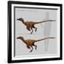 Size Comparison of Velociraptor Mongoliensis to a Human-null-Framed Art Print