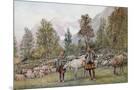 Wood Mount