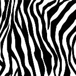 Zebra Print-sjgh-Framed Art Print