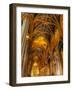 Skadoo-Jim Crotty-Framed Photographic Print