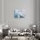 Skaftafelljokull Glacier in Vatnajokull During Winter-Martin Zwick-Photographic Print displayed on a wall