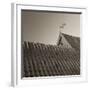 Skagen Roof Tiles-Bent Rej-Framed Giclee Print