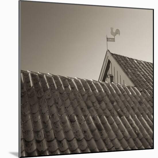 Skagen Roof Tiles-Bent Rej-Mounted Giclee Print