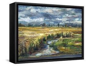 Skagit Creek-Brooke Borcherding-Framed Stretched Canvas