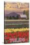 Skagit Valley Tulips-Lantern Press-Stretched Canvas