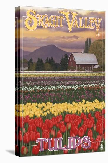 Skagit Valley Tulips-Lantern Press-Stretched Canvas