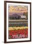 Skagit Valley Tulips-Lantern Press-Framed Art Print