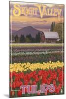 Skagit Valley Tulips-Lantern Press-Mounted Art Print