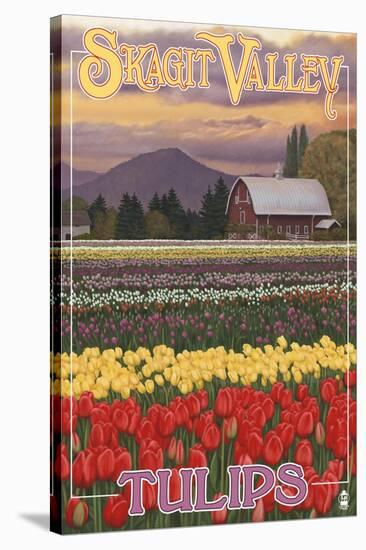 Skagit Valley Tulips-Lantern Press-Stretched Canvas