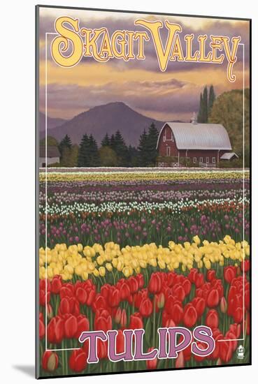 Skagit Valley Tulips-Lantern Press-Mounted Art Print