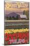 Skagit Valley Tulips-Lantern Press-Mounted Art Print