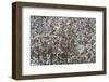 skagit Valley-Art Wolfe-Framed Photographic Print