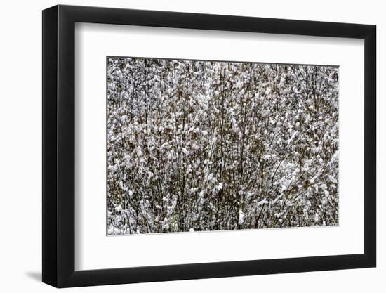 skagit Valley-Art Wolfe-Framed Photographic Print