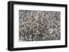 skagit Valley-Art Wolfe-Framed Photographic Print