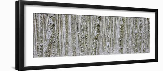 Skagit Valley-Art Wolfe-Framed Photographic Print