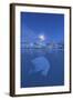 Skagsanden Beach, Lofoten Islands-ClickAlps-Framed Photographic Print