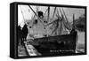 Skagway, Alaska - Princess Norah Ship Arriving-Lantern Press-Framed Stretched Canvas