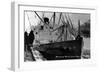 Skagway, Alaska - Princess Norah Ship Arriving-Lantern Press-Framed Art Print